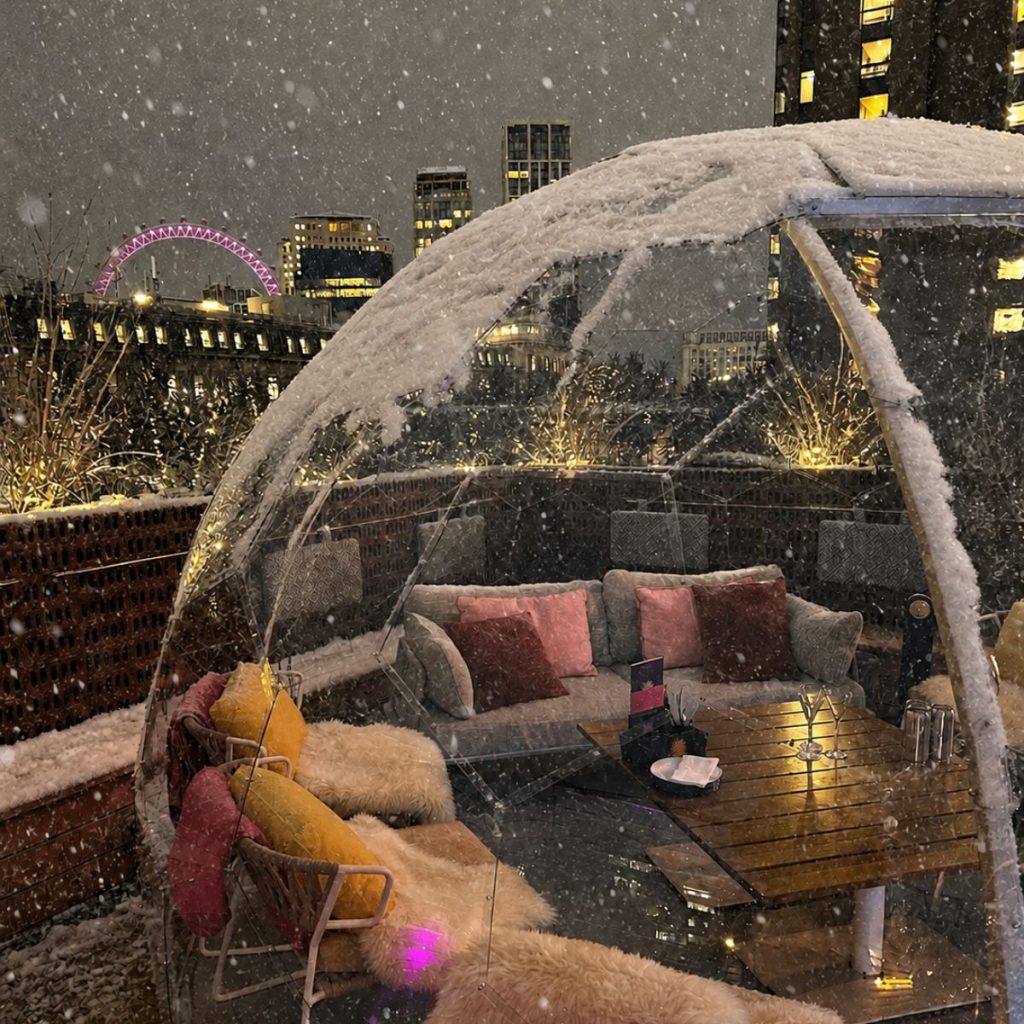 Snow pod 2